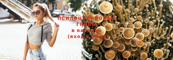 ешки Гусь-Хрустальный