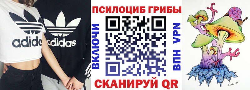 Галлюциногенные грибы Magic Shrooms  Москва 